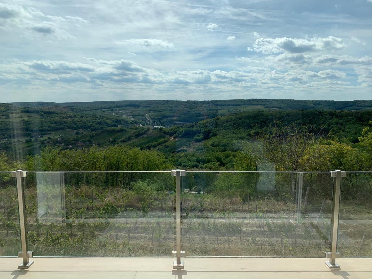 Sxrd Luxus Apartmanok Szekszárd Kültér fotó
